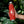 Load image into Gallery viewer, Copper Vacuum Insulated Bottle, 22oz
