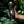 Load image into Gallery viewer, Copper Vacuum Insulated Bottle, 22oz